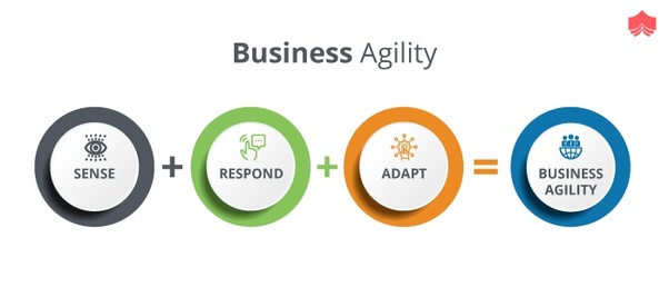 business agility icon