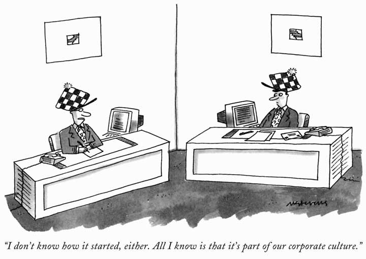 culture behaviour